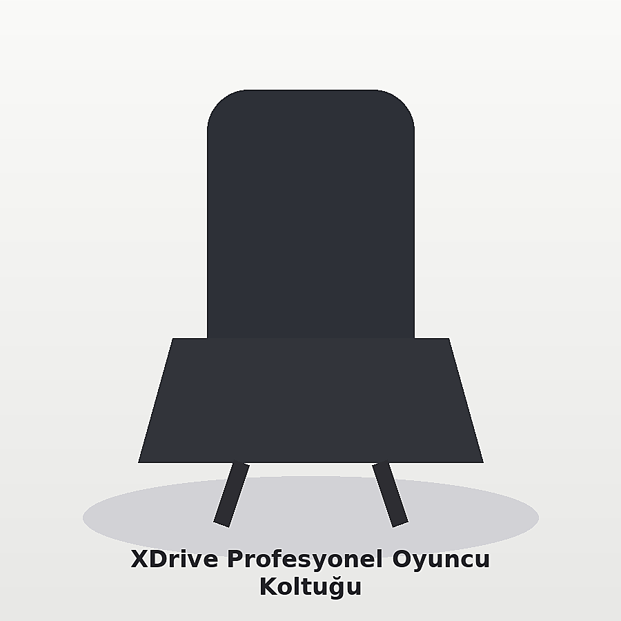 XDrive Profesyonel Oyuncu Koltuğu